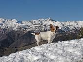 Salita da Rovetta a Cima Paré (1642 m) il 2 dicembre 2009 - Piero e Fulvio - FOTOGALLERY